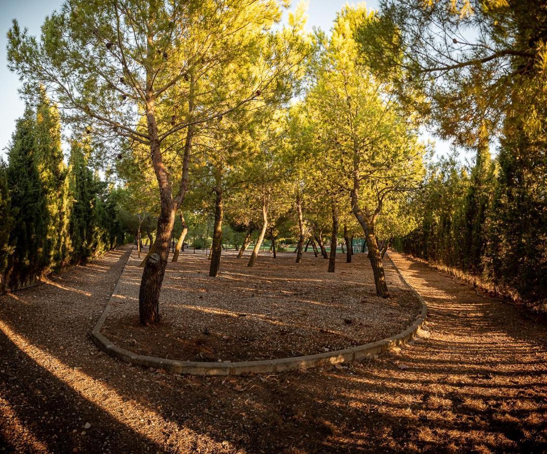 La Finca de Tomás - 5 Estrellas - Fútbol 7, Piscina Cubierta&Pádel Villa Mota Del Cuervo Esterno foto